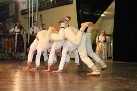 Koncert zespołu "Wisła"